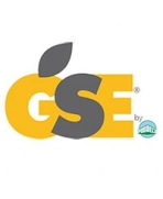 GSE